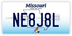 NE8J8L  license plate in MO