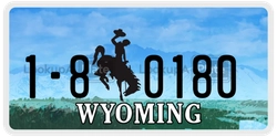 1-80180  license plate in WY