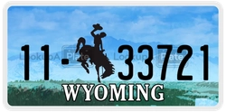 11-33721  license plate in WY