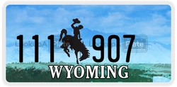 111907  license plate in WY