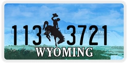 1133721  license plate in WY