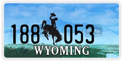 188053  license plate in WY