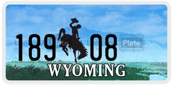 18908  license plate in WY