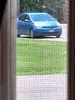 license plate report image preview