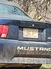 license plate report image preview