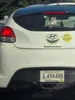 license plate report image preview
