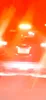 license plate report image preview