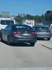 license plate report image preview