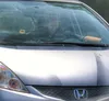 license plate report image preview