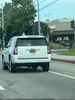 license plate report image preview