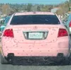 license plate report image preview