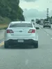 license plate report image preview