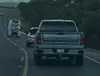 license plate report image preview
