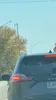 license plate report image preview