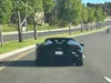 license plate report image preview