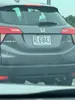 license plate report image preview