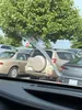 license plate report image preview
