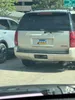 license plate report image preview
