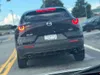 license plate report image preview
