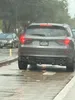 license plate report image preview