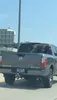 license plate report image preview