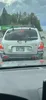 license plate report image preview
