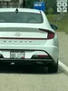 license plate report image preview