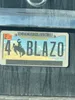 license plate report image preview