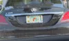 license plate report image preview