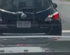 license plate report image preview