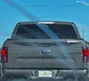 license plate report image preview