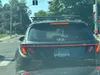 license plate report image preview