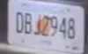 license plate report image preview