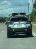 license plate report image preview