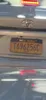 license plate report image preview