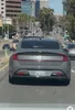 license plate report image preview