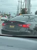 license plate report image preview