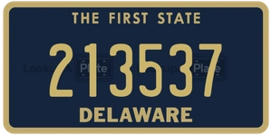 213537 license plate in Delaware