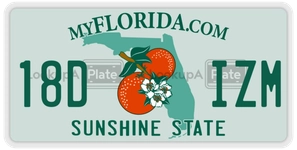 18DIZM license plate in Florida