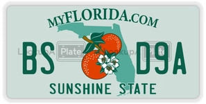 BSD9A license plate in Florida