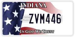 ZVM446  license plate in IN