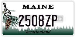 2508ZP  license plate in ME