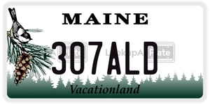 307ALD license plate in Maine