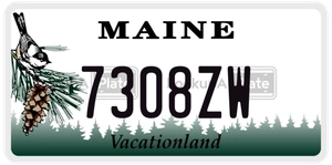7308ZW license plate in Maine