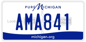 AMA841 license plate in Michigan