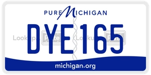 DYE165 license plate in Michigan