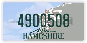 4900508 license plate in New Hampshire
