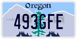 493GFE  license plate in OR