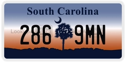 2869MN  license plate in SC