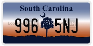 9965NJ license plate in South Carolina